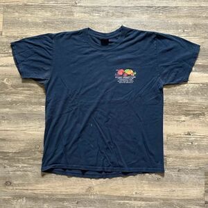 Vintage Stussy Fresh Fruit FOTL Fruit Of The Loom T-Shirt Size L